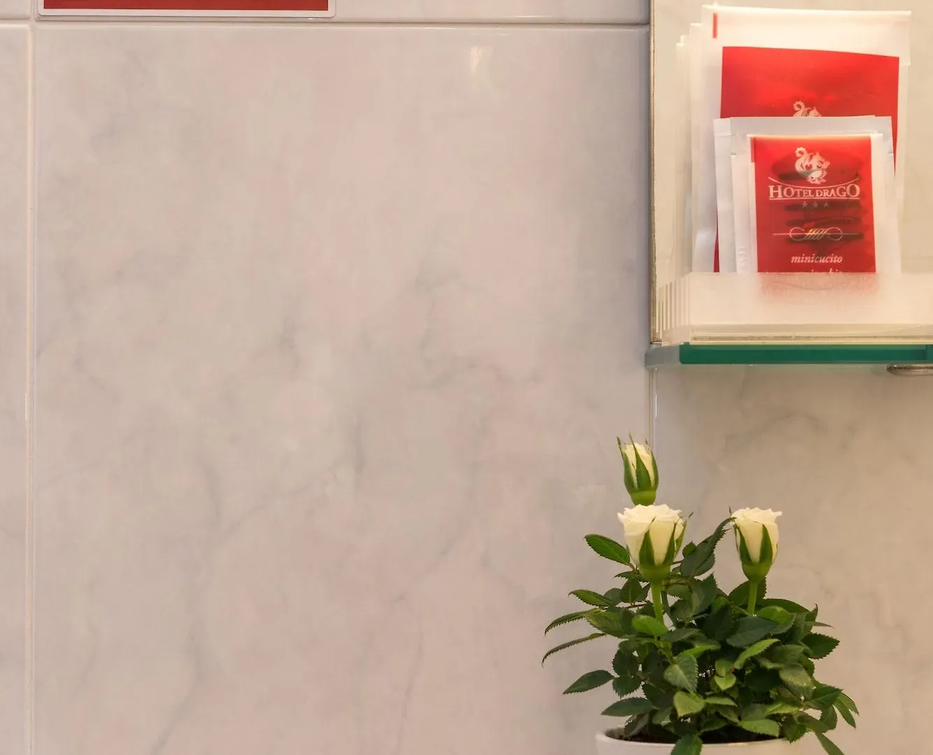 Hotel Drago Brenzone sul Garda